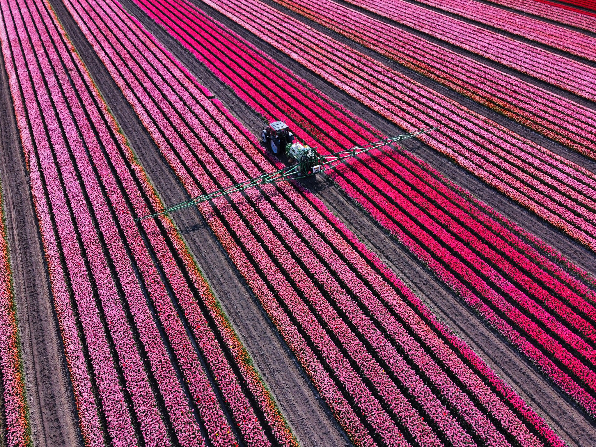 Luchtfoto gemaakt door DutchDroneBird